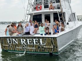Charter Image