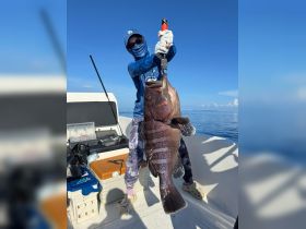 EightBar Grouper
