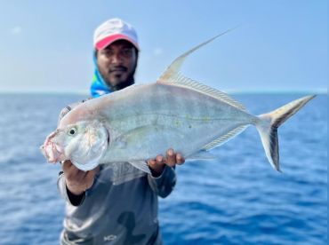 Horseburg Fishing  – Nasru 30