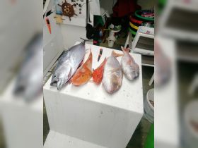 Make your fishing dreams possible