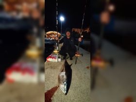 Big game fishing