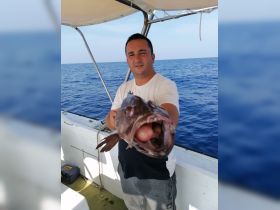 Best catches