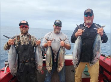 Dragon Slayer Outfitters thumbnail