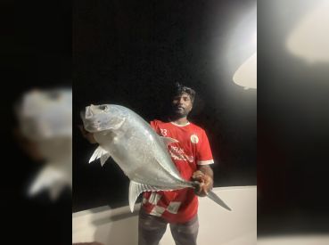 Silver Surge Fishing