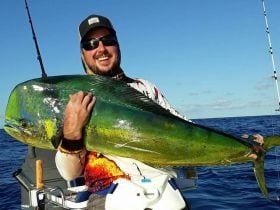 Odds On Reef – Offshore and Barramundi
