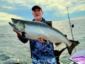 WildCard Sport Fishing Charters