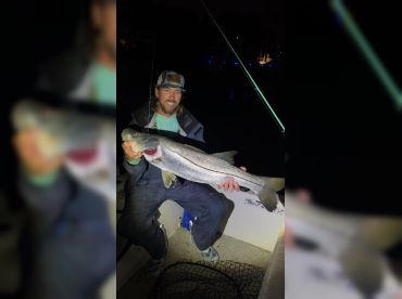 Black Dog Charters II