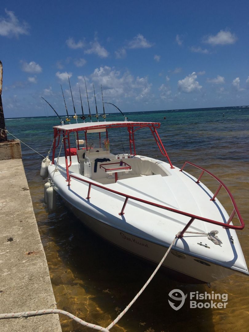 Boat Image