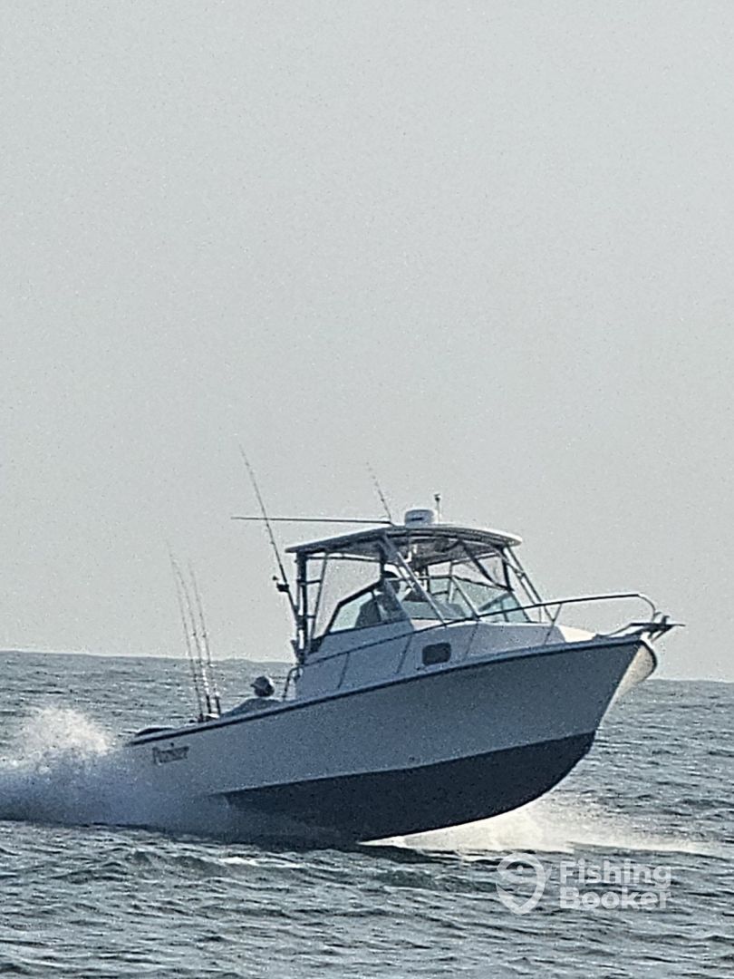 Boat Image