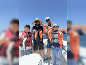 Charter Image