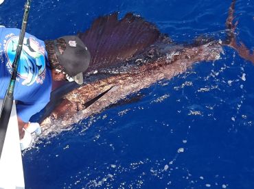 Captain Mike's – Fish Tank