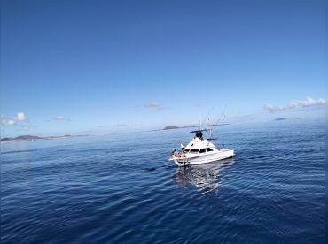 Different Charter