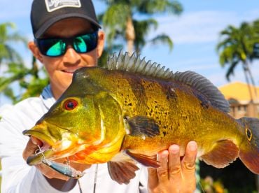 Johnny Exotic Fishing – Everglades