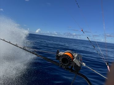 Yacht Club Puerto Rico North thumbnail