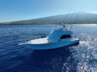 Lei'n Low – Omni Sonar thumbnail