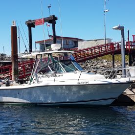 Island Pursuit Sport Fishing - 25' thumbnail