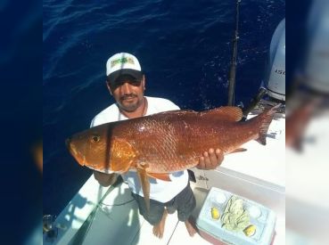 Los Méndez – Best Captain Around