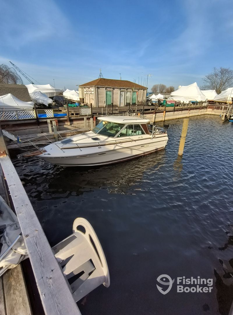 Boat Image