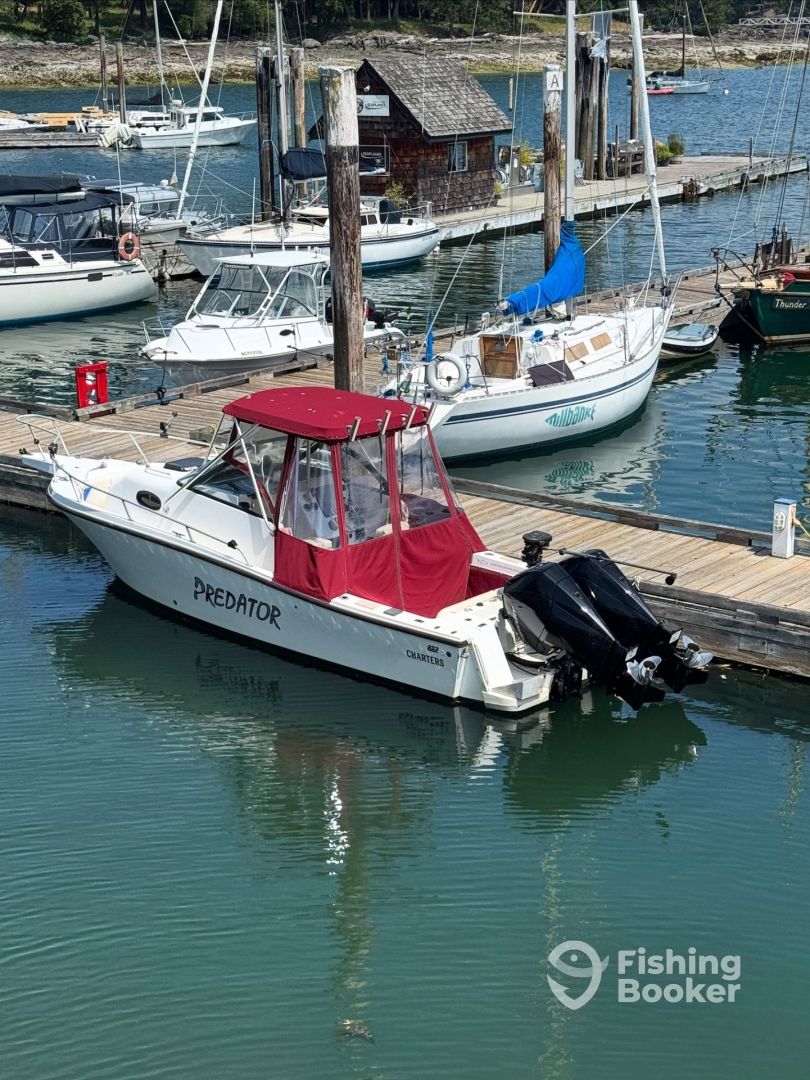 Boat Image