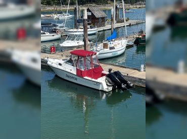 Predator Charters thumbnail