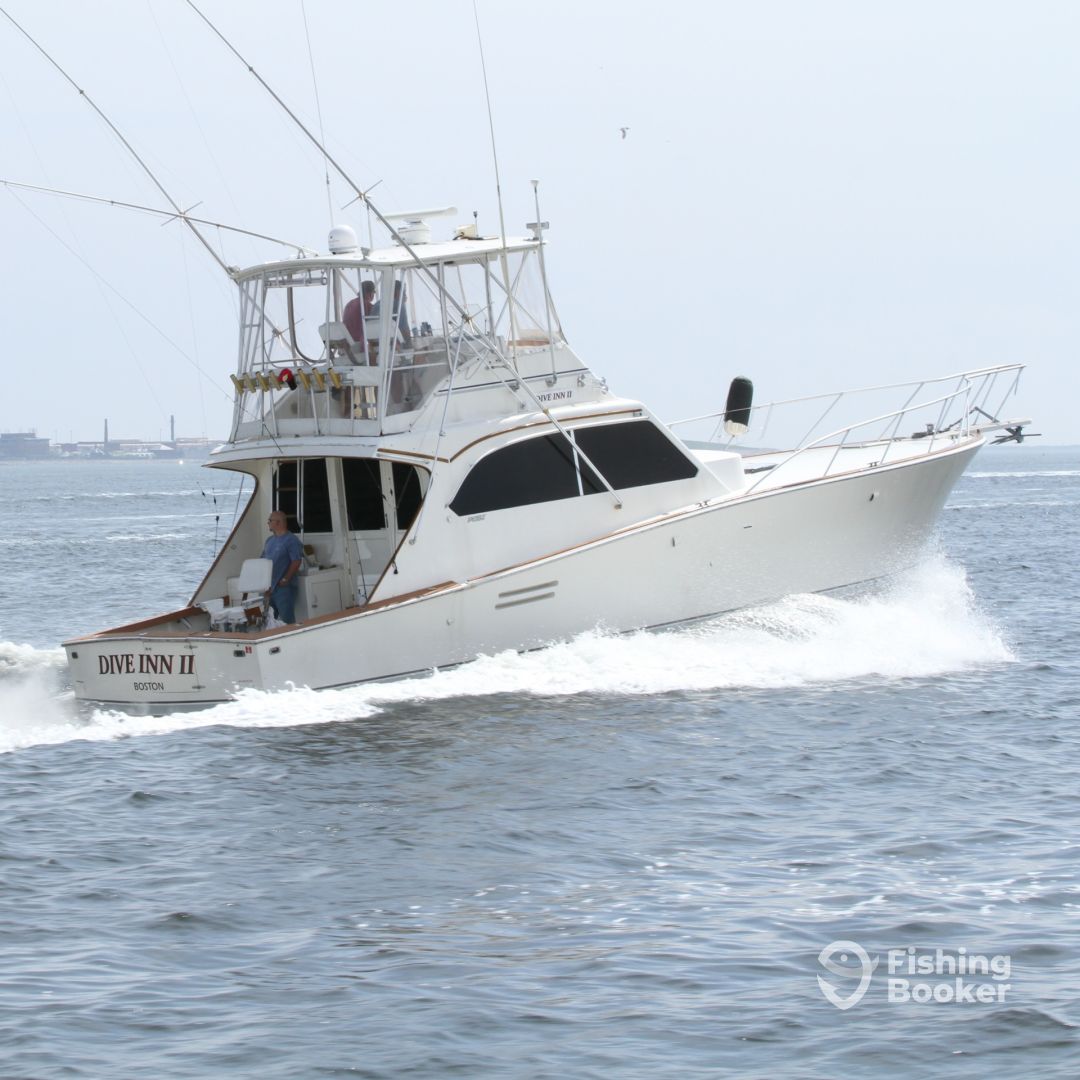 Boat Image
