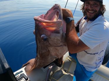 Fish & Trip โ Your Ionian Fishing Adventure