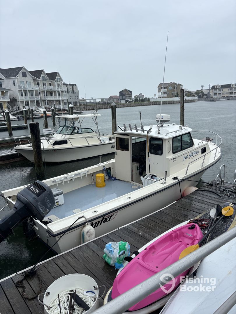 Boat Image