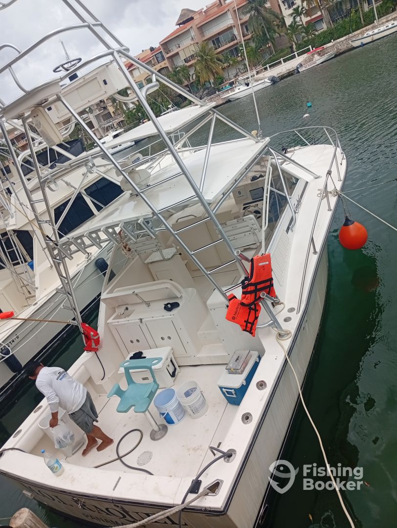Boat Image