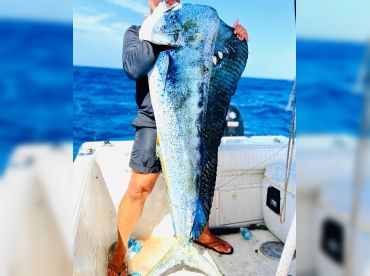 Offshore Fishing Pelagic Trip