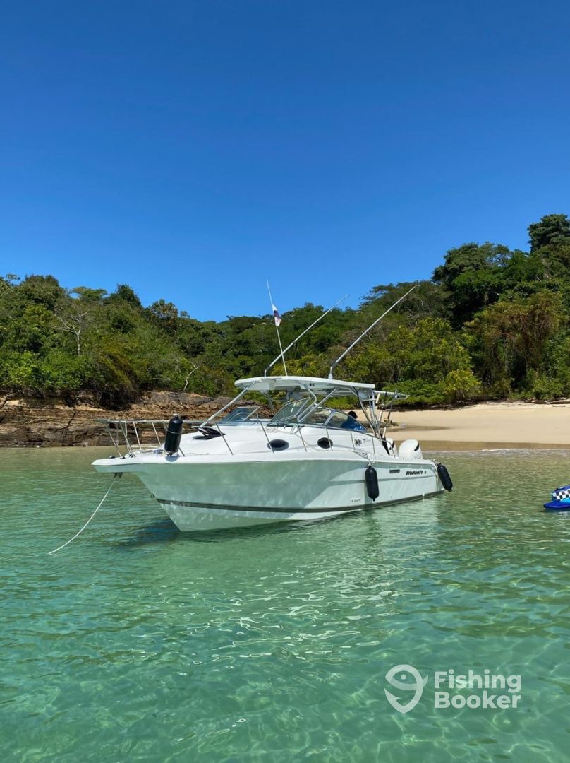 Boat Image