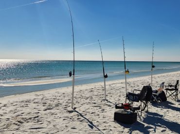Tremor Shark Fishing