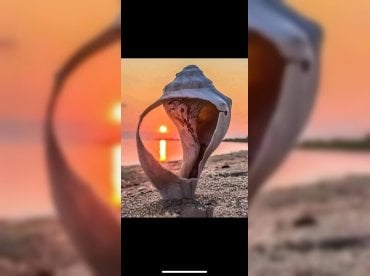 Say What Charters thumbnail