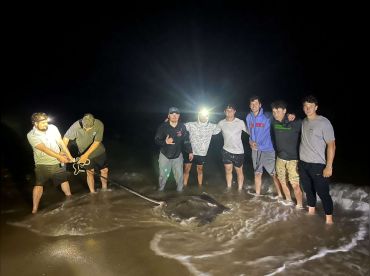 Surf Sharking Outfitters