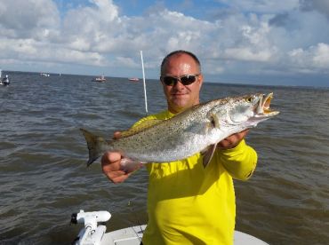 Gulf Coast King thumbnail