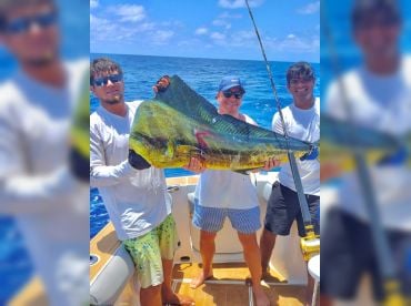 Speedwell Cabo thumbnail