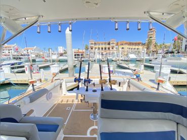 Speedwell Cabo thumbnail