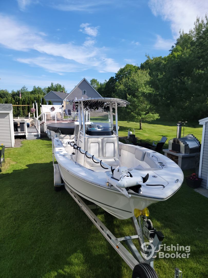 Boat Image