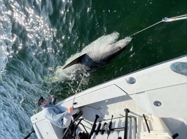 Lateral Line Charters