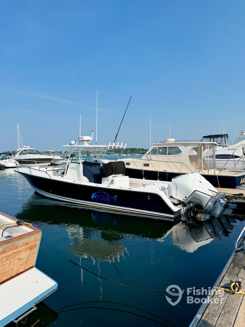 Boat Image