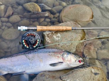 Quinault River Fishing Guide