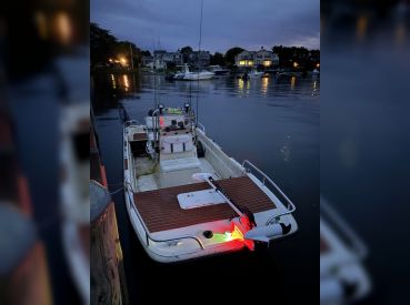 in The Net Sportfishing Cape Cod