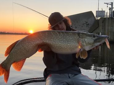 Predator Fly fishing Netherlands