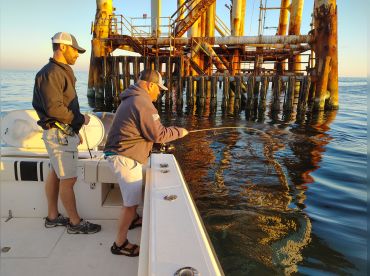 American Gulf Fishing Charters