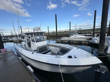 Chasing Tails Charters LLC