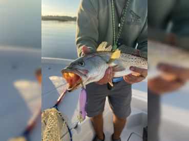 Thump chaser charters