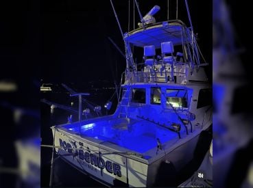 Rod Bender Sport Fishing Maui