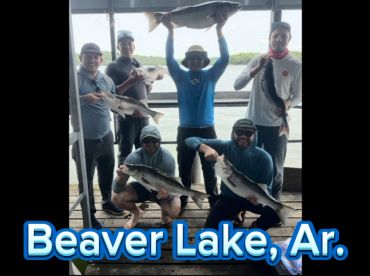 Reel Ozark Striper LLC - ROS