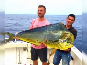 Mahi Mahi !!!