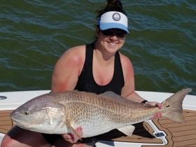 VIP Mel Caught on this big fella on 4.18.19