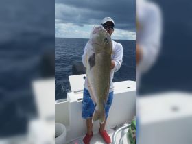 big golden tilefish